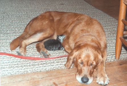 scan0003.tif